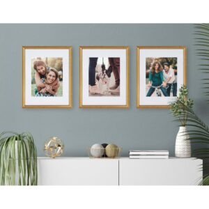 Kate and Laurel Adlynn 11 in. x 14 in. matted to 8 in. x 10 in. Gold Picture Frames (Set of 4)