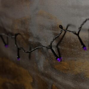 Northlight 5 in. LED B/O Purple Micro Halloween Lights (15-Set)