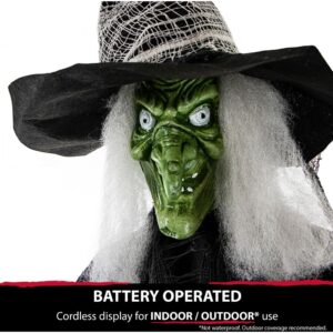 Haunted Hill Farm 6.5 ft. Animatronic Wicked Witch Halloween Prop