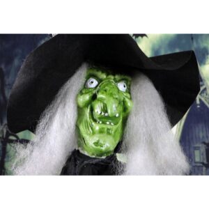 Haunted Hill Farm 6.5 ft. Animatronic Wicked Witch Halloween Prop