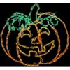 Haunted Hill Farm Happy Jack-O-Lantern Indoor/Outdoor LED Halloween Window Light
