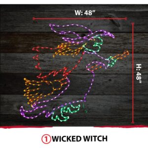 Haunted Hill Farm 48 in. x 48 in. Wicked Witch on a Broom Indoor/Outdoor LED Halloween Window Light