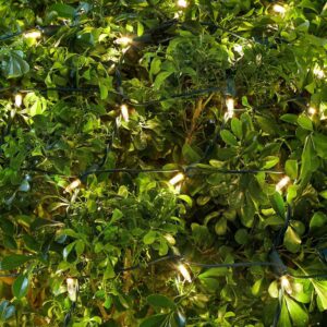 Home Accents Holiday 4 ft. x 6 ft. 150-Light LED Warm White Smooth Super Bright Constant On Twinkle Mini Net Light