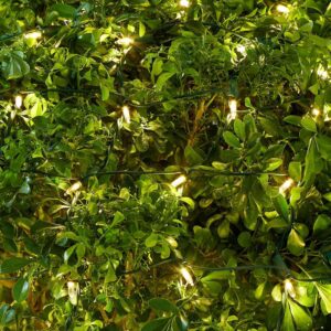 Home Accents Holiday 48 in. x 72 in. 150-Light Mini Warm White Smooth Net Cap Lights
