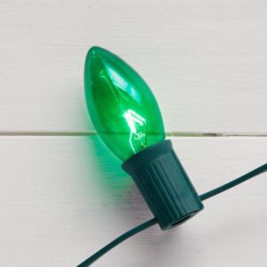 Home Accents Holiday 25-Light Multi-Incandescent C9 Lights (Set of 2)
