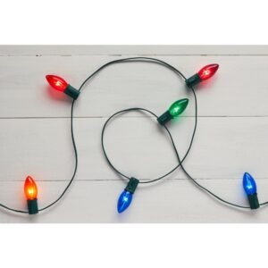 Home Accents Holiday 25-Light Multi-Incandescent C9 Lights (Set of 2)