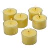Light In The Dark Ivory Tealight Candles with Clear Cups (Set of 72)