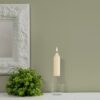 ROOT CANDLES 5 in. Timberline Collenette Ivory Dinner Candle (Box of 8)