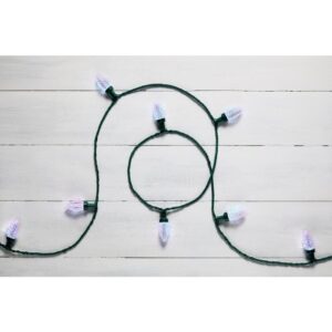 LightShow ColorMotion 24-Light Multi-Color Deluxe Christmas C9 LED String Light