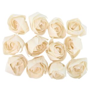 LITTON LANE White Sola Boxed Carnation and Ranunculus Flowers (Set of 2)
