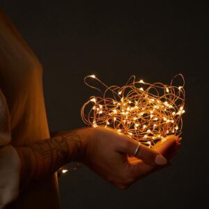 LUMABASE 30-Light Warm White Battery Operated Mini Copper LED String Lights (2-Count)