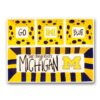 Magnolia Lane Michigan Ceramic 4 Section Tailgating Serving Platter