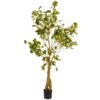 National Tree Company 4.20 ft. Ginkgo Potted Tree