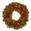 National Tree Company Decorative Collection Valley Pine 24 in. Artificial Wreath with Battery Operated Warm White LED Lights