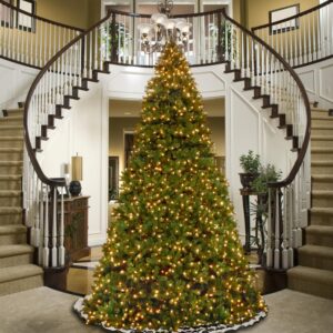 National Tree Company 14 ft. Feel Real Downswept Douglas Fir Hinged Artificial Christmas Tree with 1600 Dual Color LED Lights