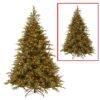 National Tree Company 6 ft. Frasier Grande Artificial Christmas Tree with Dual Color LED Lights