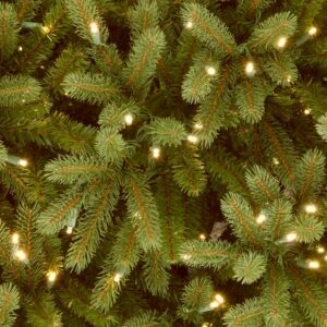 National Tree Company 7-1/2 ft. Feel Real Jersey Fraser Slim Fir Hinged Artificial Christmas Tree with 800 Clear Lights