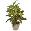 Nearly Natural 2 ft. Croton Artificial Plant