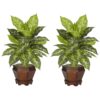 Nearly Natural 20.5 in. H Green Dieffenbachia Silk Plant with Wood Vase (Set of 2)