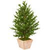 Nearly Natural Indoor/Outdoor 35-In. Olive Cone Topiary Artificial Tree in Terra Cotta Planter