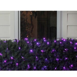 Northlight 4 ft. x 6 ft. Purple LED Net Style Christmas Lights with Green Wire