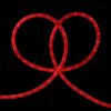 Northlight 18 ft. Red Clear Lights Incandescent Outdoor Christmas Rope Lights