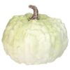 Northlight 6.5 in. Green Textured Pumpkin Fall Harvest Table Top Decoration