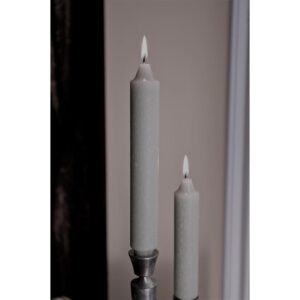 ROOT CANDLES 9 in. Timberline Collenette Platinum Dinner Candle (Box of 4)