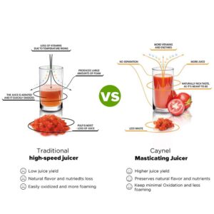 Boyel Living Slow Masticating Juice Extractor,Cold Press Juicer Machine red
