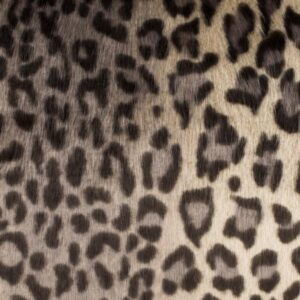 Safavieh Faux Black Leopard Down Alternative Standard Throw Pillow