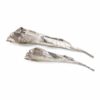 IMAX Crowder Decorative Organic Trays (Set of 2)