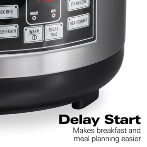 Hamilton Beach 20-Cup Stainless Steel Rice/Hot Cereal Cooker with Rice Rinser/Steam Basket