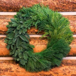 VAN ZYVERDEN 24 in. Live Fresh Cut Pacific Northwest Modern Block Christmas Wreath
