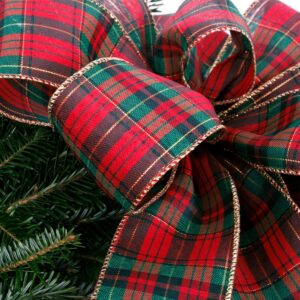 VAN ZYVERDEN 24 in. Live Fresh Cut Blue Ridge Mountain Decorated Fraser Fir Christmas Wreath with Bow