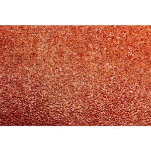 WEN 6 in. 120-Grit Adhesive-Backed Disc Sandpaper (10 Pack)