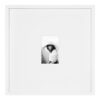 DesignOvation Gallery 17 in. x 17 in. matted to 4 in. x 6 in. White Picture Frame