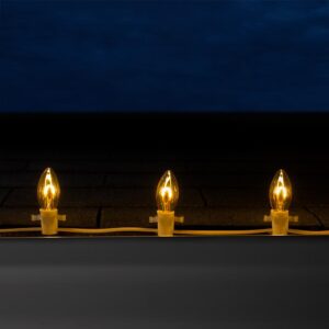 Wintergreen Lighting FlexFilament C9 LED Shatterproof Gold Vintage Edison Christmas Light Bulbs (5-Pack)