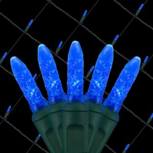 Wintergreen Lighting 48 in. x 72 in. 100-Light M5 LED Blue Net Light Set