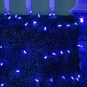 Wintergreen Lighting 48 in. x 72 in. 100-Light M5 LED Blue Net Light Set